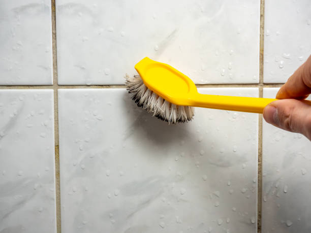 Best Certified Mold Removal  in Spry, PA