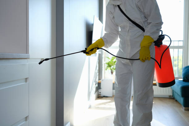 Best Mold Damage Repair  in Spry, PA