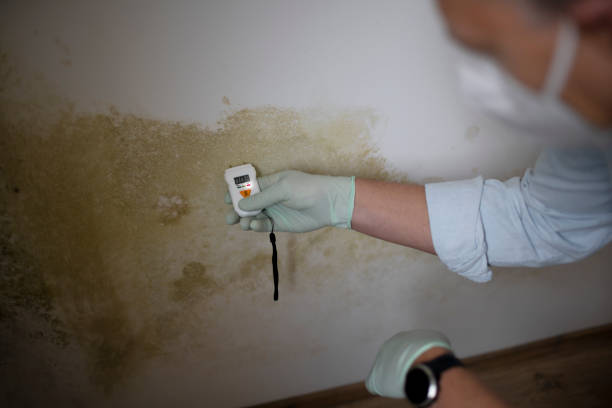 Best Mold Testing  in Spry, PA