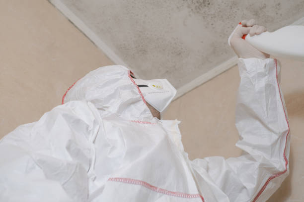 Best Mold Remediation  in Spry, PA