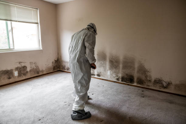 Crawl Space Mold Removal in Spry, PA