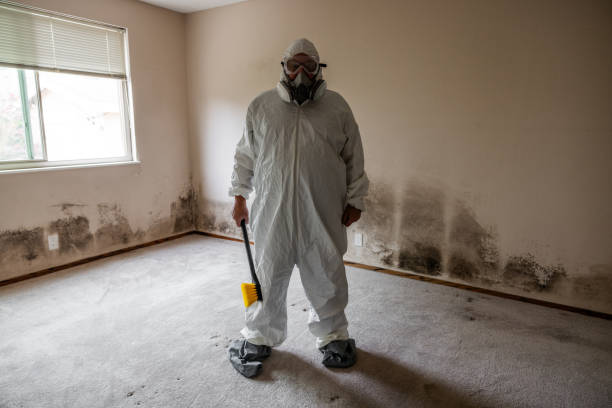 Best Certified Mold Removal  in Spry, PA